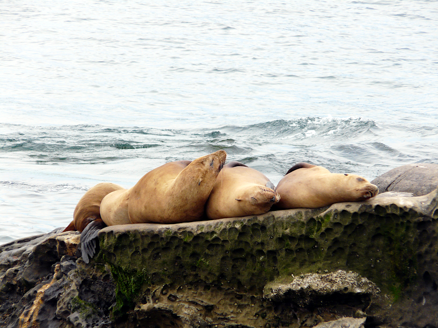 San Diego, Californie, USA