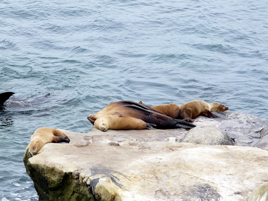 San Diego, Californie, USA