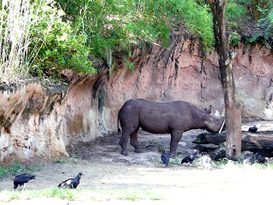 Disney World, Orlando, Floride