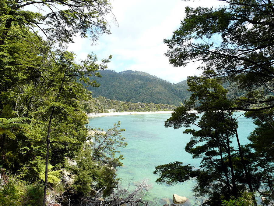 Abel Tasman National Park, Nouvelle Zélande