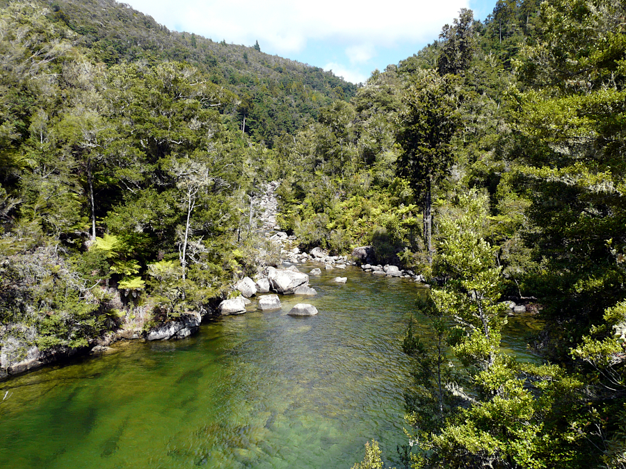Abel Tasman National Park, Nouvelle Zélande