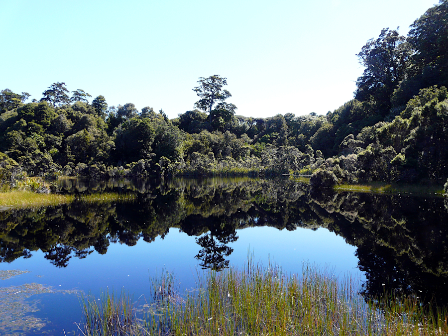 Catlins, Nouvelle Zélande