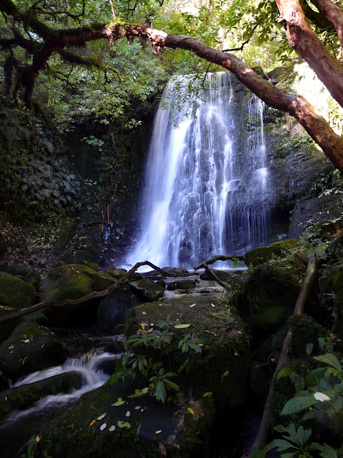 Catlins, Nouvelle Zélande