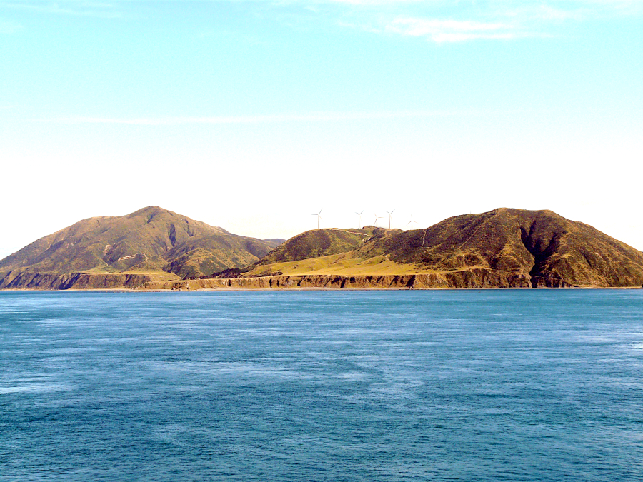 Ferry, Nouvelle Zélande