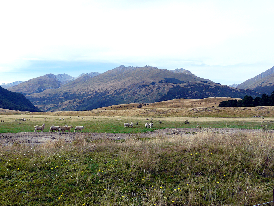 Glenorchy, Nouvelle Zélande