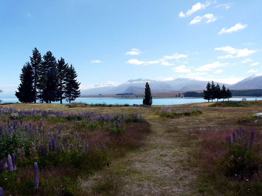 Lake Tekapo, Nouvelle Zélande