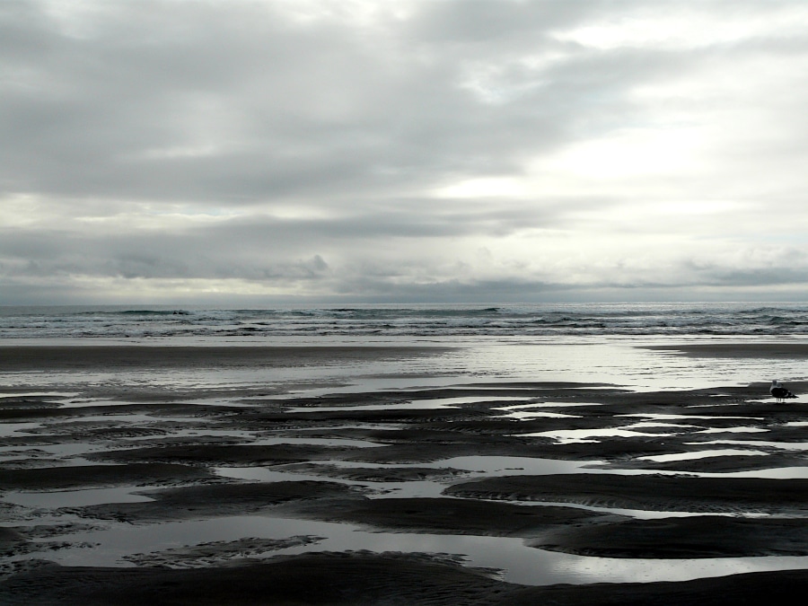 Piha Beach, Nouvelle-Zélande