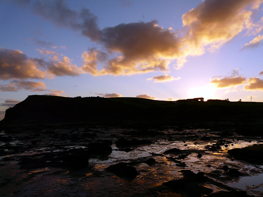Petrified Forest, Catlins, Nouvelle Zélande