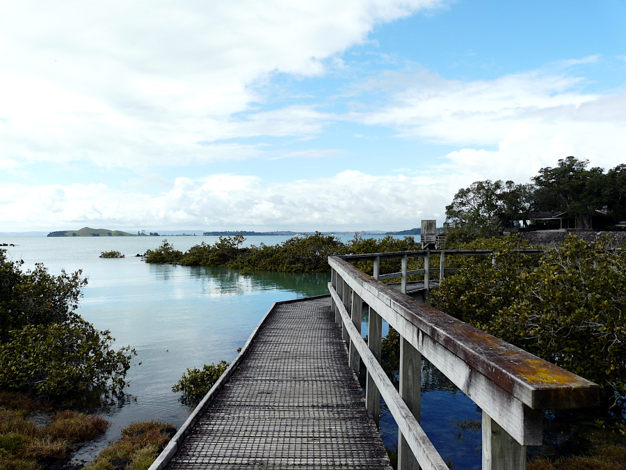 Rangitoto, Nouvelle Zélande
