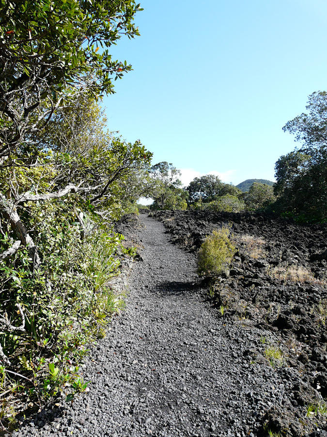 Rangitoto, Nouvelle Zélande