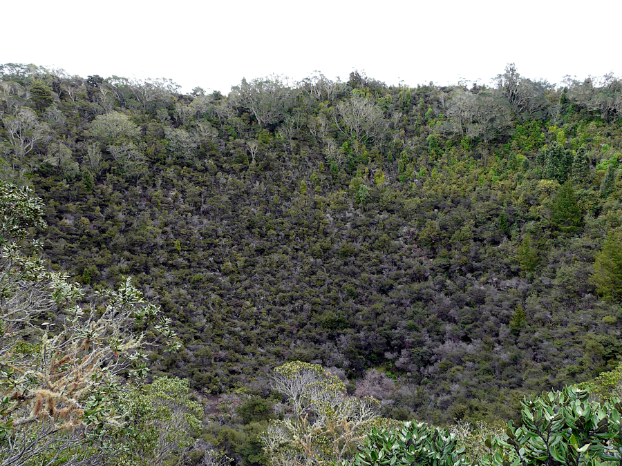 Rangitoto, Nouvelle Zélande