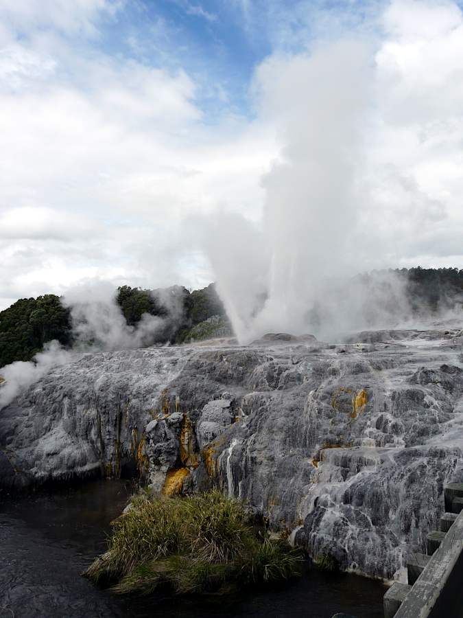 Te Puia, Nouvelle Zélande