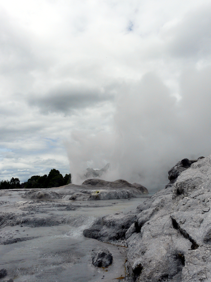 Te Puia, Nouvelle Zélande