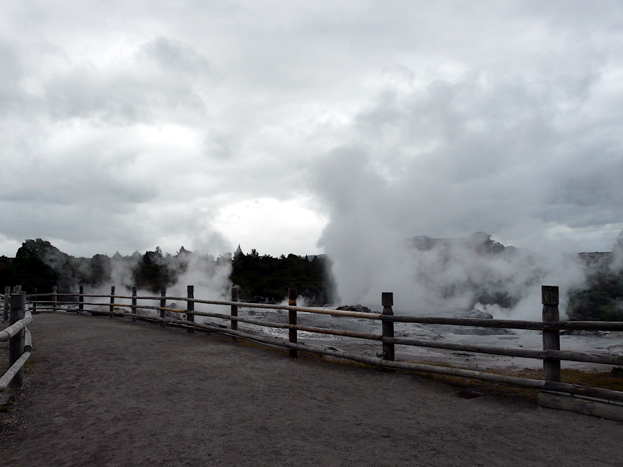 Te Puia, Nouvelle Zélande