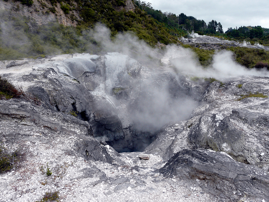 Te Puia, Nouvelle Zélande