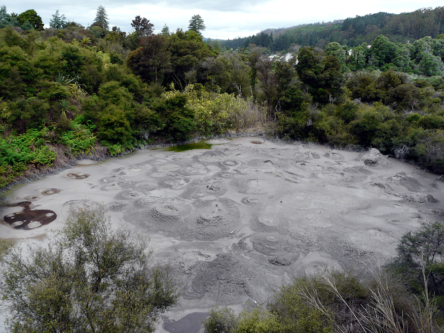 Te Puia, Nouvelle Zélande