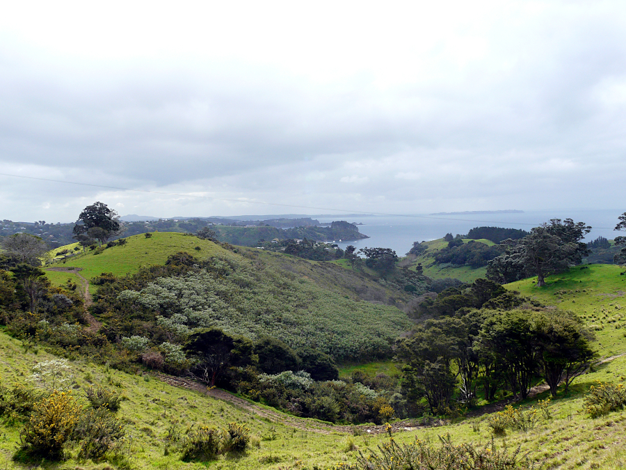 Waiheke Island, Nouvelle Zélande