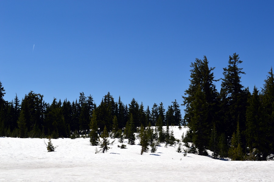 Crater Lake National Park, Oregon, USA