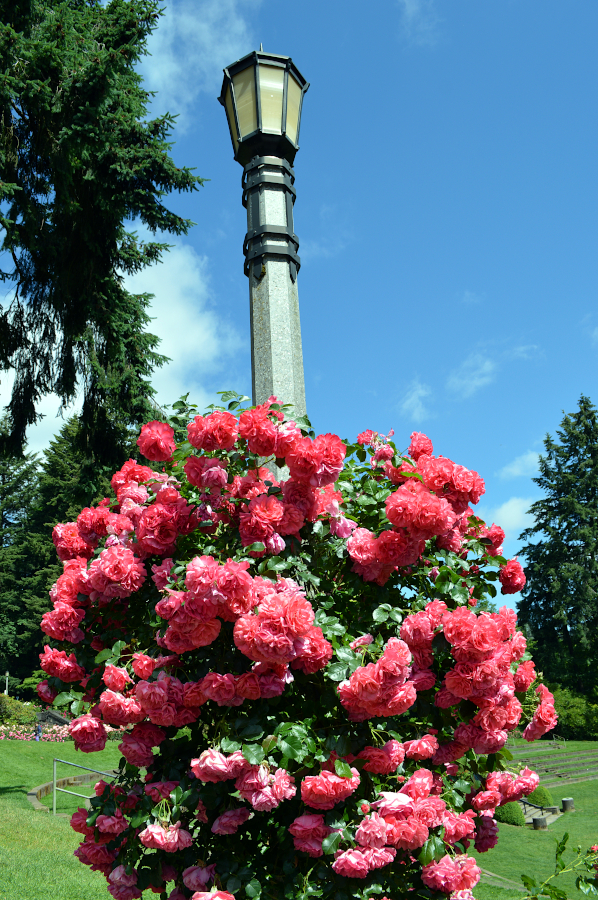 Portland, Oregon USA