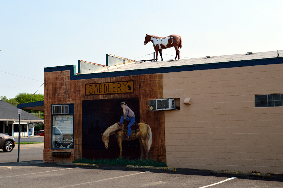 Roadtrip Californie Oregon USA
