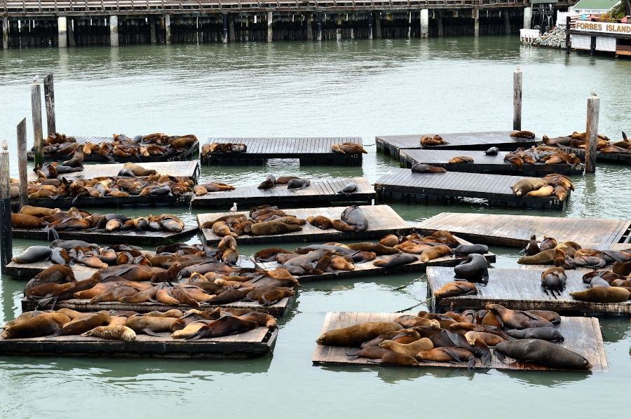 San Francisco, Californie, USA