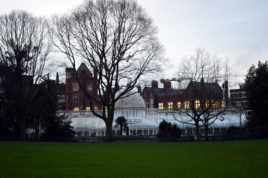 Jardin Botanique, Belfast, Irlande