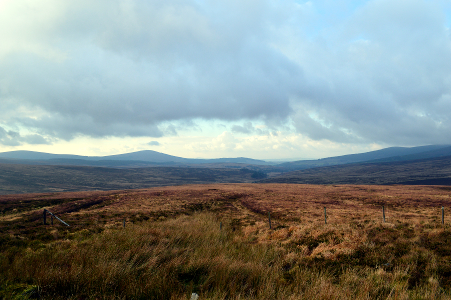 Les monts du Wicklow, Wicklow, Irlande