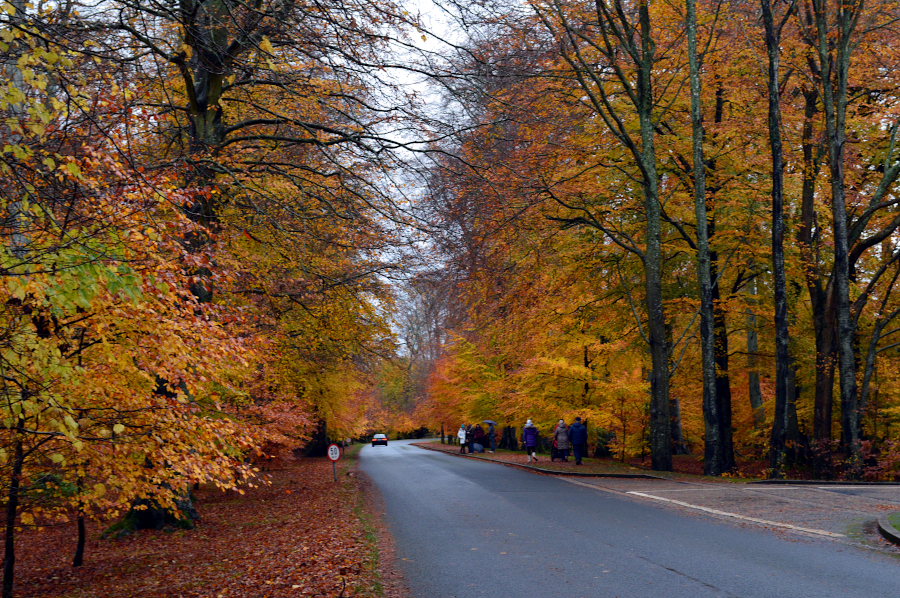 Powerscourt, Wicklow, Irlande